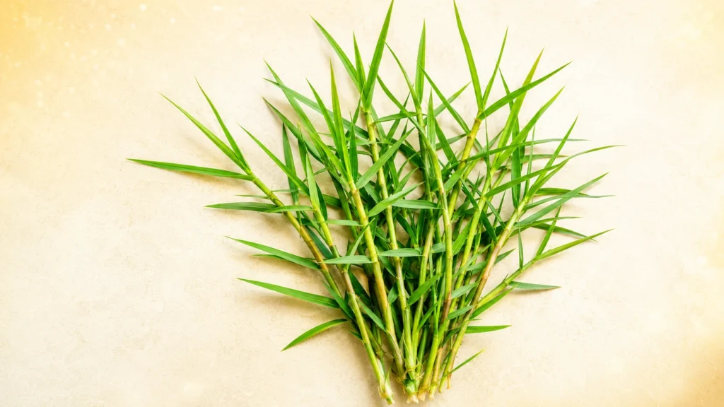 durva grass