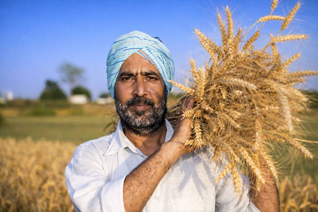 Punjab farmer