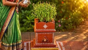 Why Is Tulsi Worshipped in Hindu Homes? Story and Beliefs