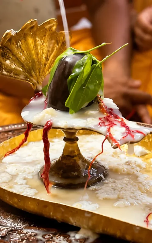 Rudrabhishek at home