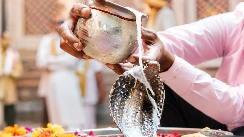 nag panchami 2026